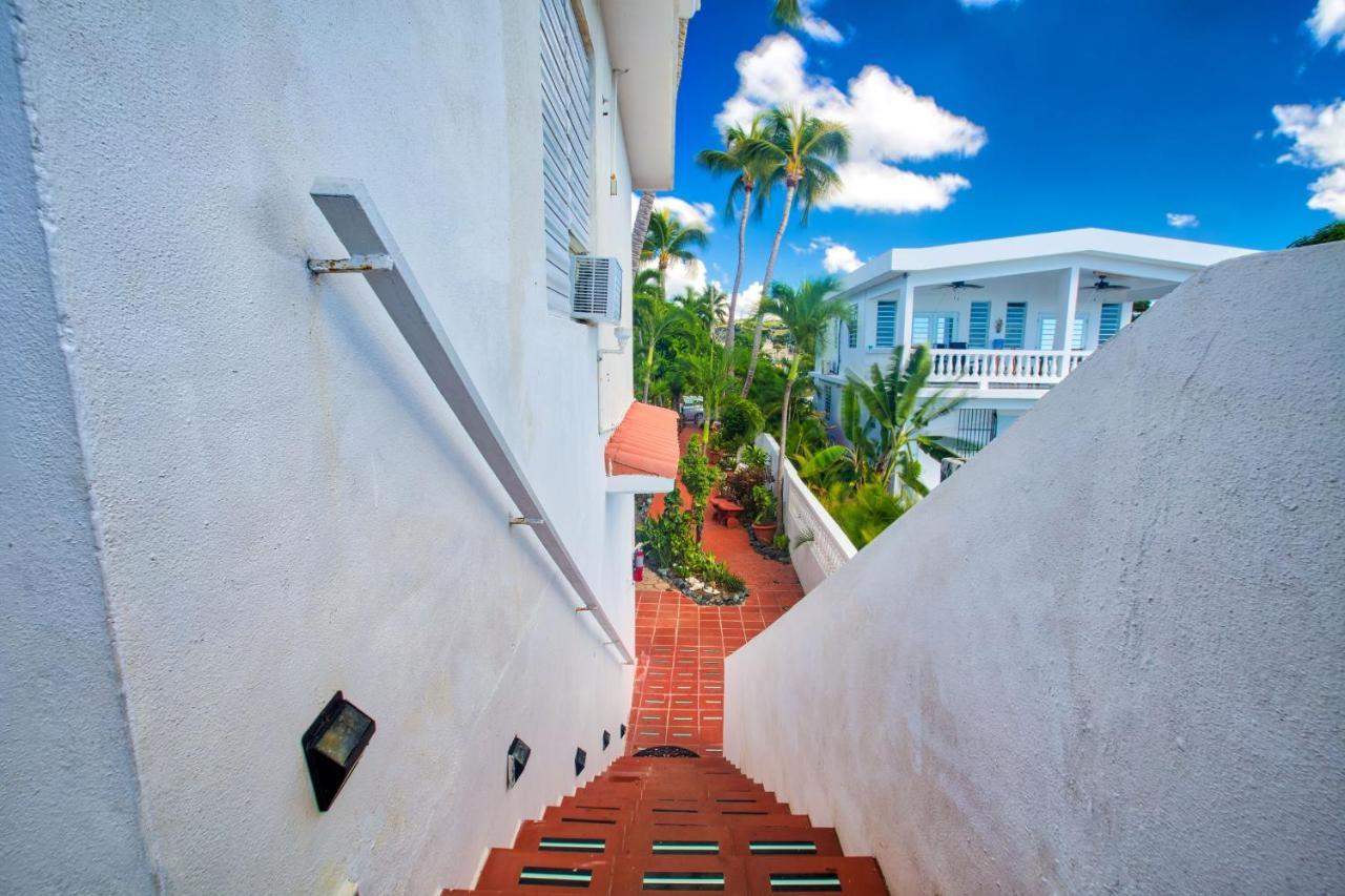 Coconut Palms Inn Rincon Exterior foto