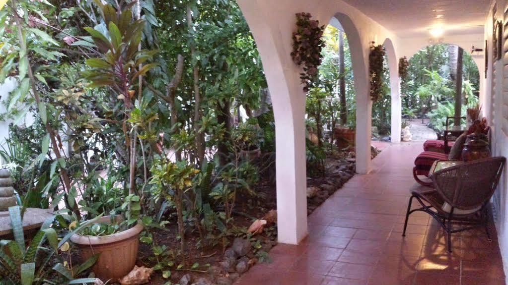 Coconut Palms Inn Rincon Exterior foto